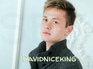 Davidniceking
