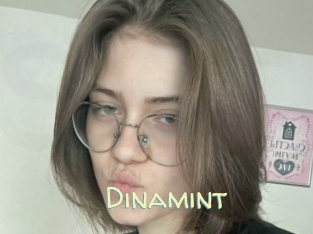 Dinamint