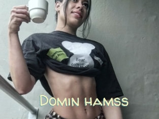 Domin_hamss