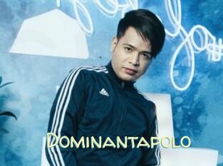 Dominantapolo