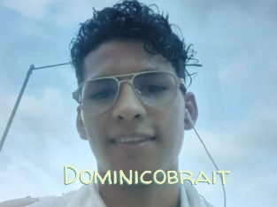 dominicobrait Sexy Tchat