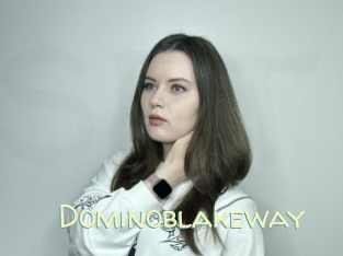 Dominoblakeway