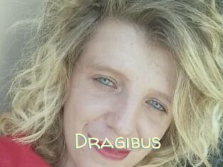 dragibus Sexy Tchat
