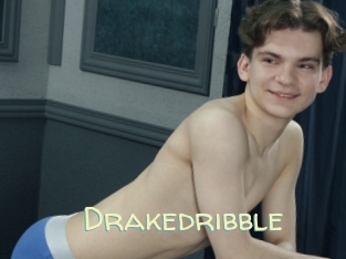 Drakedribble