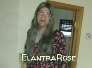 Elantra_Rose