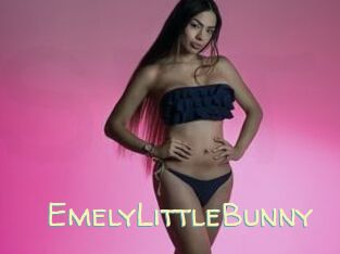 EmelyLittleBunny