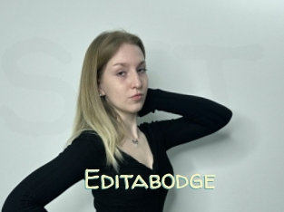 Editabodge