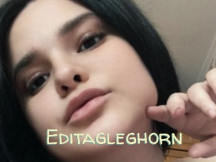 editagleghorn Sexy Tchat