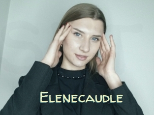 Elenecaudle