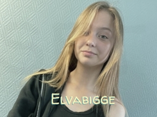 Elvabigge