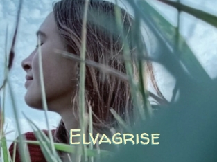Elvagrise