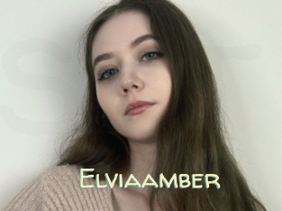 Elviaamber