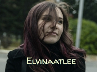Elvinaatlee