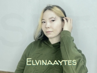 Elvinaaytes