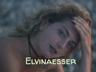 Elvinaesser