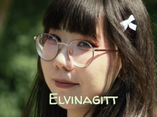 Elvinagitt