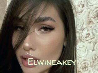 Elwineakey