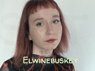 Elwinebuskey