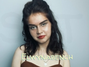 Elwynabench