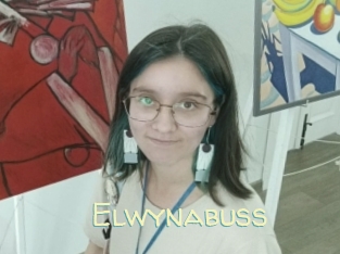 Elwynabuss