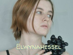 Elwynahessel