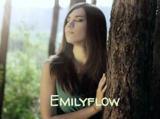 Emilyflow