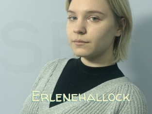 Erlenehallock