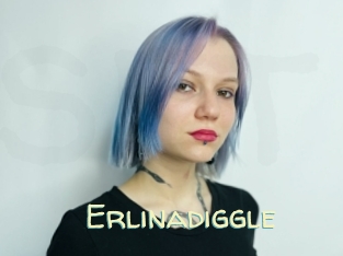 Erlinadiggle