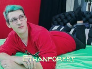 ethanforest Sexy Tchat