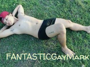 FANTASTICGayMark