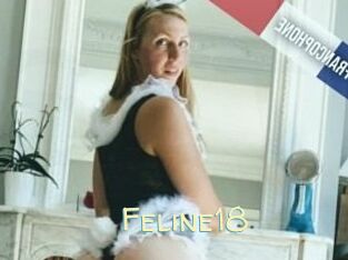 Feline18