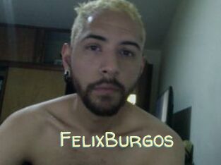 FelixBurgos