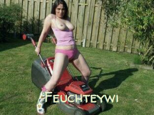 Feuchteywi