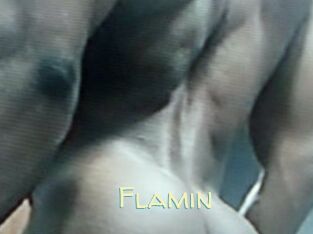 Flamin