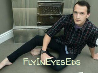 FlyInEyesEds