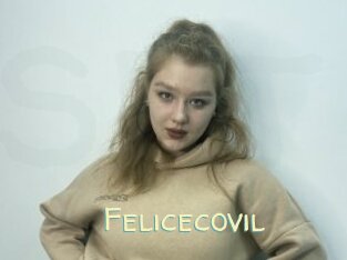 Felicecovil