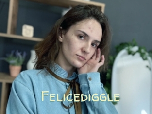 Felicediggle
