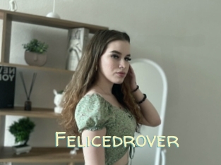 Felicedrover