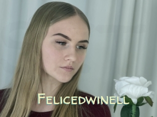 Felicedwinell
