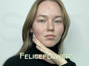 Feliceflowers