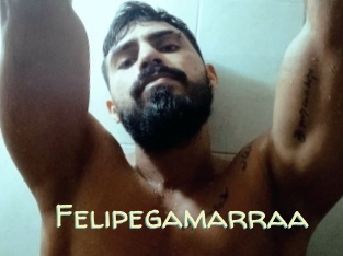 Felipegamarraa
