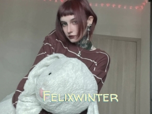 Felixwinter