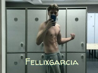 Fellixgarcia