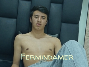 Fermindamer