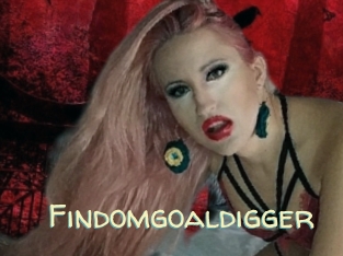 Findomgoaldigger