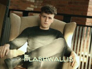 Flashwallis