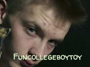 Funcollegeboytoy