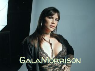 GalaMorrison