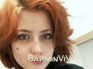 GarminViV