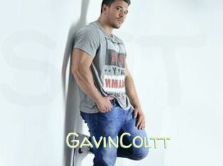 GavinColtt